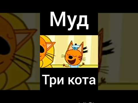 муд три кота "прятки"