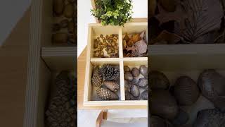 🍂🌼Sand & Sorting Tray Sensory Exploration🌼🍂