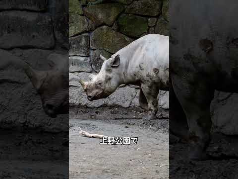 千代田区編 オススメ1日観光（東京都）