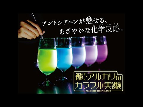 サイエンスショー「酸・アルカリのカラフル実験」（長谷川）