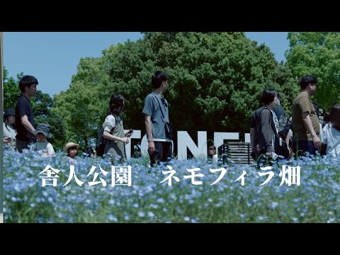 【ネモフィラ畑】公園っていいな！春の舎人公園散歩