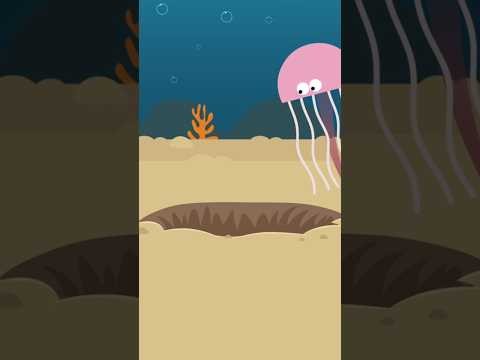 What Do You Think is in the Hole in the Bottom of the Sea? #jellyfishes #scratchgardensongs