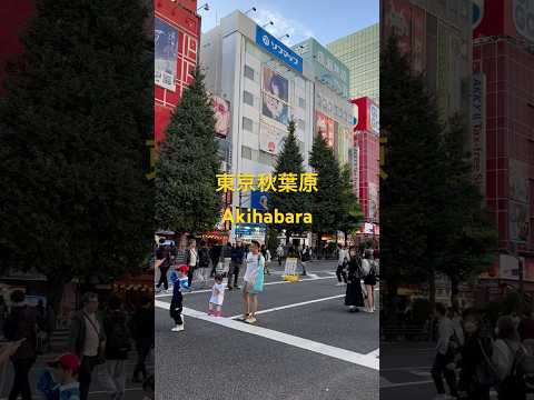 🇯🇵Japan •Akihabara•Tokyo•秋葉原。2024年10月20日撮影。#秋葉原 #akihabara #music #tokyo #tokyo2024 #秋葉原ラジオ会館