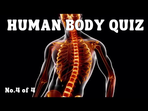 Can You Pass This Human Body Quiz?  Quiz No.4 of 4