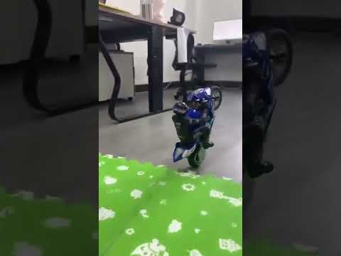 Remote Control Stunting Bike Toy