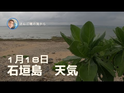 【石垣島天気】1月18日12時ごろ。15秒でわかる今日の石垣島の様子。