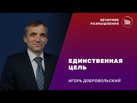 Вечерние размышления | Тема: Единственная цель | Игорь Добровольский 24.12.2024