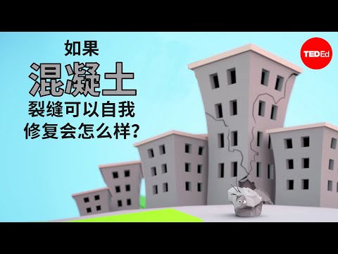 如果混凝土裂缝可以自我修复会怎么样？- Congrui Jin