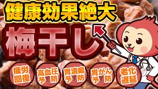 【意外と知らない】梅干しの絶大なる健康効果とは？ 疲労回復効果/老化遅延効果/高血圧予防/動脈硬化予防/胃がん予防/血流改善/食中毒予防