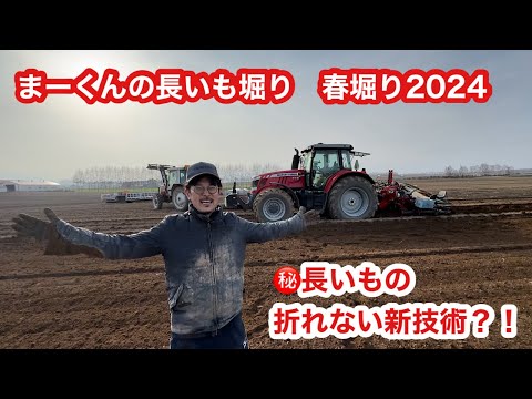 【長いも収穫】春堀り2024 長いも折れない新技術？！MF7718も久々の登場！