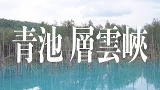 快速瞭解看美瑛青池攻略(有小秘技),層雲峽,帶廣牧場麵包店｜去日本玩｜愛上北海道｜Trip Random