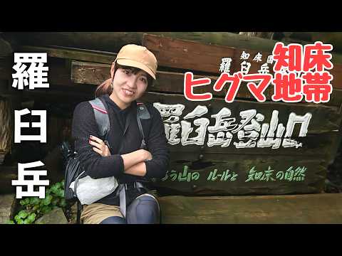 北海道【羅臼岳】濃霧のヒグマ多発地帯に潜入！遭遇したのは…🏔️