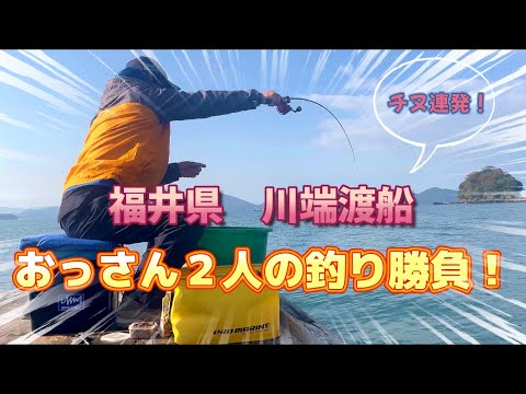 福井県、小浜湾、川端渡船の筏でかかり釣り。友人ユーチキさんと久しぶりの再会も、ハプニングの連続！おっさん２人のチヌ釣り勝負、果たして軍配はどちらに？