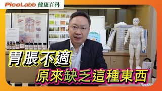 【健康百科】消化王者｜輕鬆排便 減少胃脹