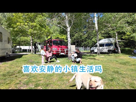 这样安静的小镇生活你喜欢吗？(新西兰 Harold Vlog 879)