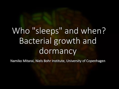 第20回 MACSコロキウム 講演2「いつ誰が「眠る」か？細菌の成長と休眠」