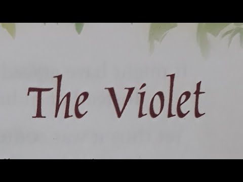 Class 5 English literature images ch 1 The Violet explained in hindi | Class 6 literature the violet