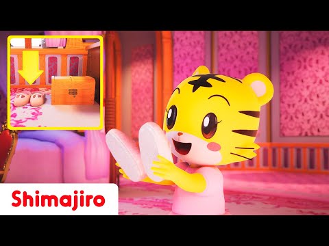 Hanna wants to be a princess! 👑 ✨ | Let's help Hanna while learning! | Shimajiro Nursery Rhymes