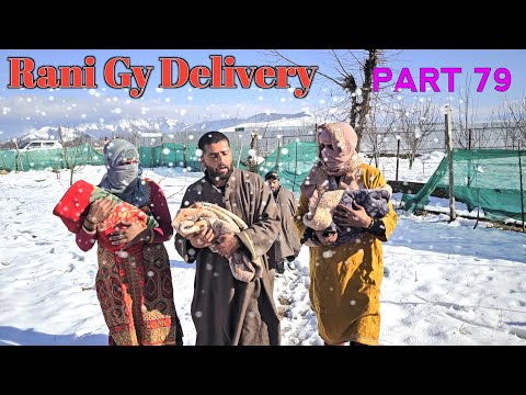 Rani Gy Delivery | Part 79 | Kashmiri Drama