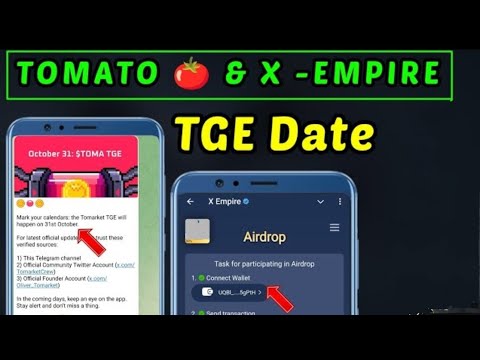 Tomarket TGE & X empire TGE |Tomato X empire Airdrops & Token generated event listing date October