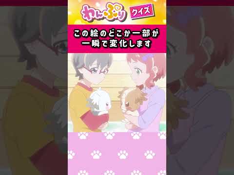 【わんだふるぷりきゅあ】一瞬で絵が変わるフラッシュクイズ！「パート31」【はんちゃんラボTV】 #わんだふるぷりきゅあ #わんぷり #プリキュア