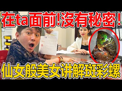 哇！在ta前面！完全没有秘密！仙女般的美女讲解斑彩螺！还有讲解Insect内心深处的心结！能量满满啊！真的... 你们看了就知道了！