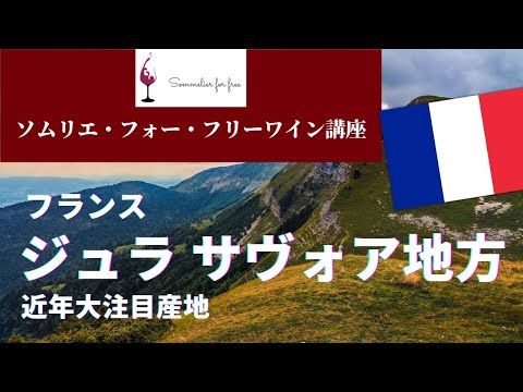 ジュラ サヴォア編【2023年 Sommelier for free ワイン講座】