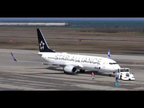 【新潟空港 飛行機動画】All Nippon Airways(ANA) Boeing737-800 JA51AN