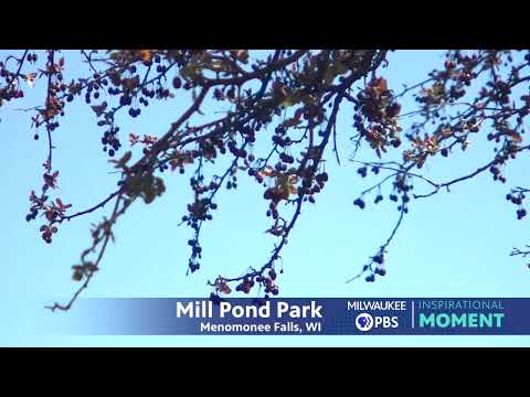 Milwaukee PBS Presents | Inspirational Moments | Mill Pond Park