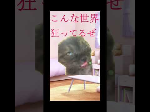 【猫ミーム】 キミたちに殴られてみた【アンチ】 #猫ミーム #vtuber中文