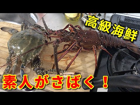 素人が伊勢エビとワタリガニさばいたら、大変なことになった【フリーザ ものまね コスプレ】