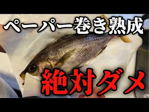 魚にペーパーを巻くと不味くなる理由を全て解説【熟成保存完全版】