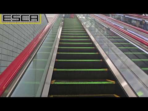 Haneda Airport Terminal 3 Station Escalator Up