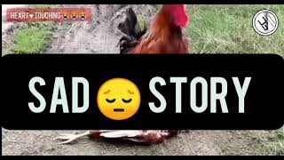 Sad 😔 Story 😭😢💔 || EIMI CHANNEL