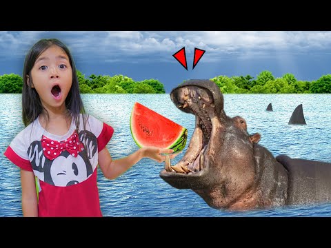 บริ้งค์ไบรท์ | ให้อาหารฮิปโป hippo