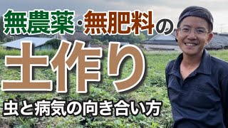 【農業】無農薬・無肥料栽培の土作りについてお話しします（虫と病気との向き合い方）