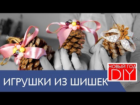 DIY новогодний декор. Как сделать елочные игрушки из ШИШЕК. Декор своими руками. Новый Год 2018