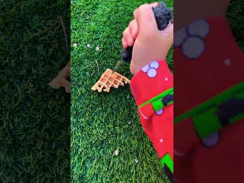 Dog chewed on my toy! The boys meme