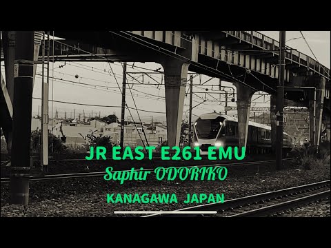 JR東日本 E261系 サフィール踊り子　走行シーン (JR EAST E261 EMU , KANAGAWA  JAPAN)