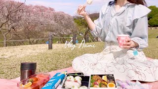 お花見弁当を作ってピクニックに行く｜Picnic under the cherry blossom trees with homemade lunch boxes| Japan VLOG