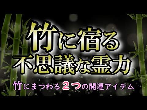 竹にまつわる霊的な意味｜身近に置くことでたくさんのメリットがある！