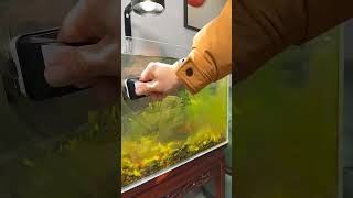 Awesome Mangetic Aquarium Cleaning Tools#trending #aqurium #fishaquarium #fishtanksetup #fish #tools