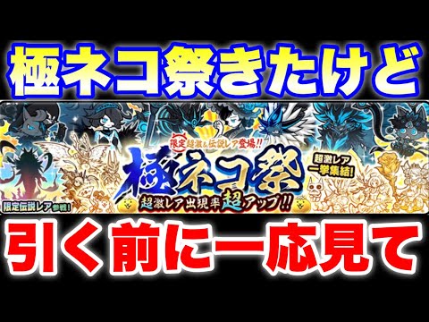 極ネコ祭ガチャ来たけど、注意事項あるから引く前に一応見て欲しい　#にゃんこ大戦争