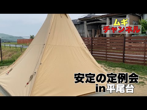 【ビーグル】待ちに待った定例会