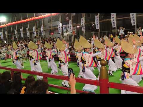 【2024/8/13】阿波踊り2024　あわぎん南内町演舞場　ゑびす連　オアシスチヨ連【4K】