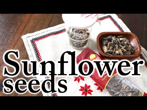 Sunflower seeds, ASMR, Lifestyle, Eating sounds, Bible