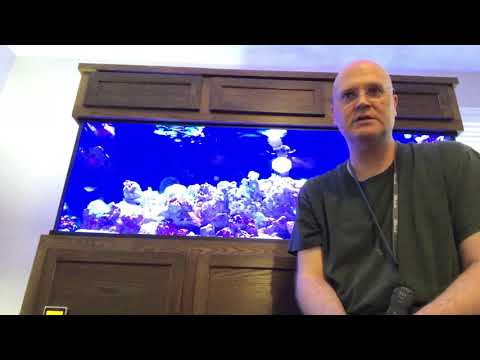 Custom Aquariums 180 Gallon Review part 1