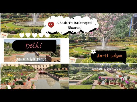 A visit to Rashtrapati Bhawan - Amrit Udyan - Udyan Utsav 2023 - (Mughal Garden) #amritudyan #delhi