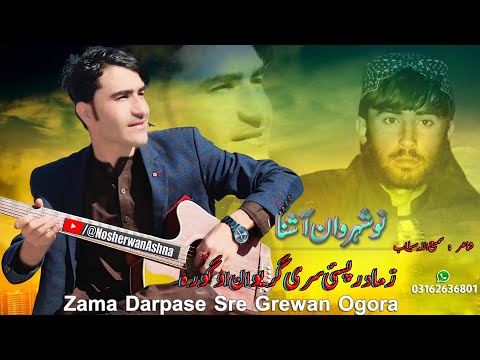 Nosherwan Ashna Pashto New Songs 2023 | Zama Darpase Sre Grewan Ogora | New Pashto Songs 2023