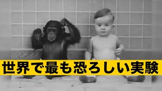 10カ月の子供とチンパンジーが寝食を共にする。世界で最も恐ろしい実験とは、どれほど恐ろしいのだろうか？